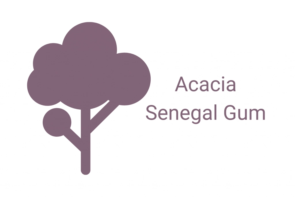 What is Acacia Senegal Gum?