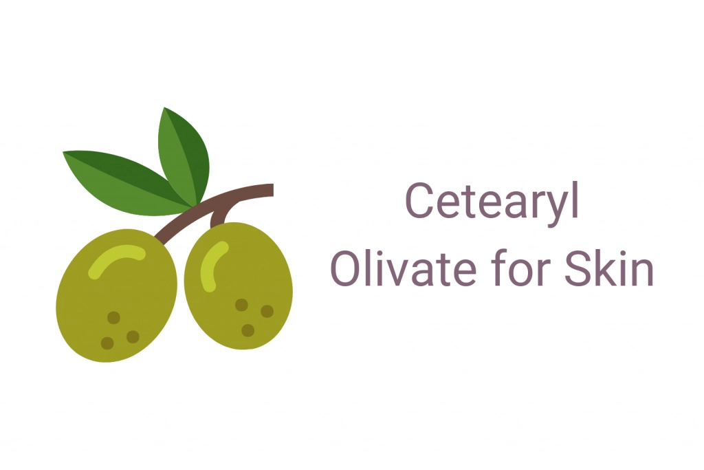 Cetearyl Olivate for Skin