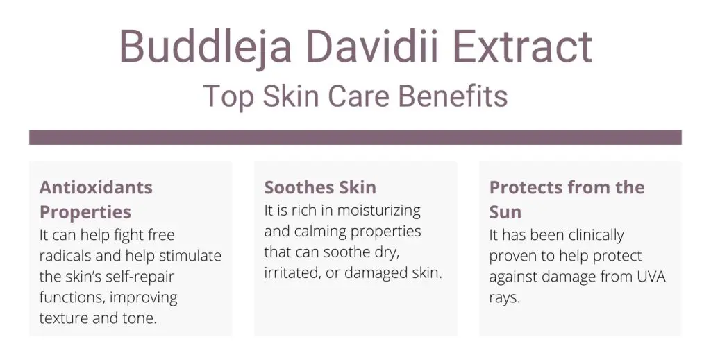 Buddleja Davidii Extract top skin care benefits