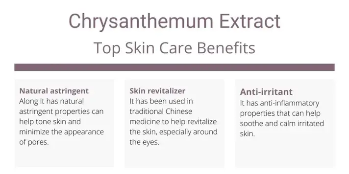 Chrysanthemum Extract skin benefits