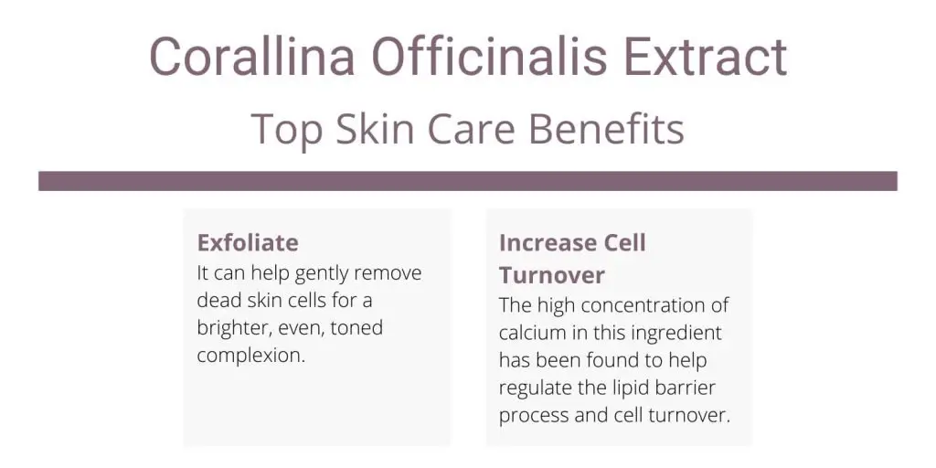 Corallina Officinalis Extract skincare benefits and uses