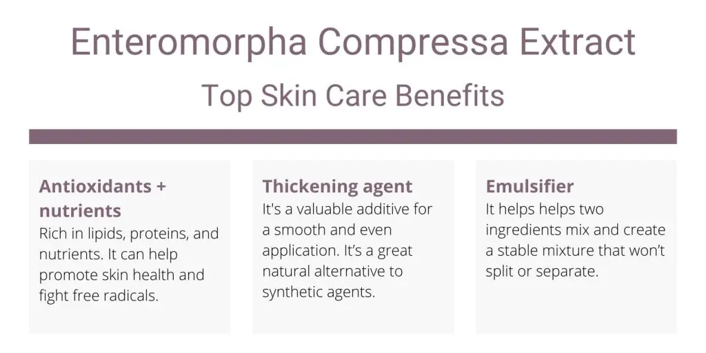 Enteromorpha Compressa Extract top skin care benefits