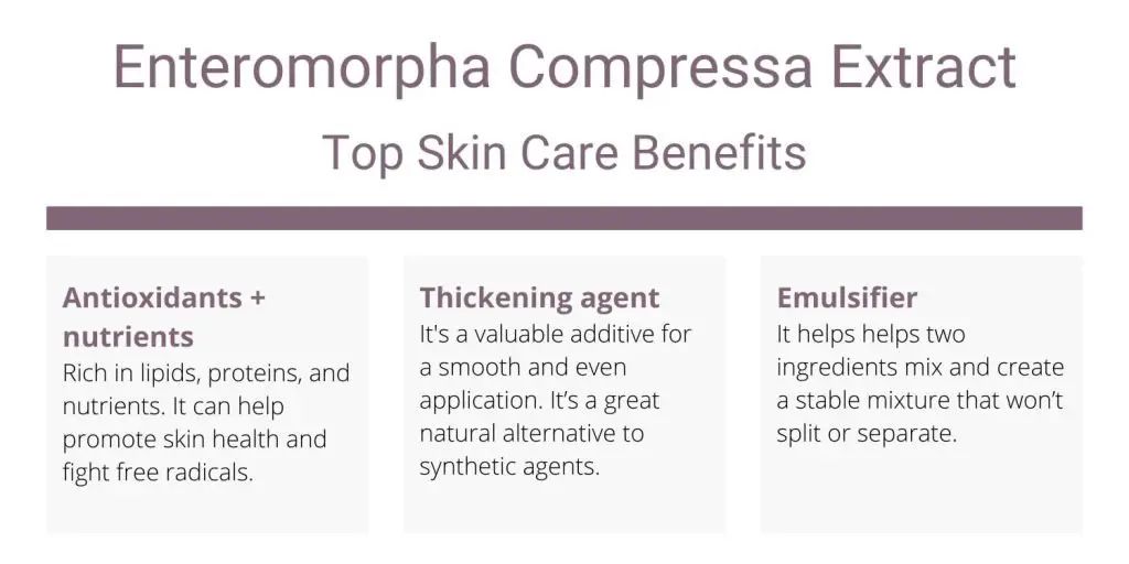 Enteromorpha Compressa Extract top skin care benefits