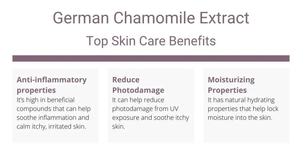 German Chamomile extract skin care benefits and uses. 