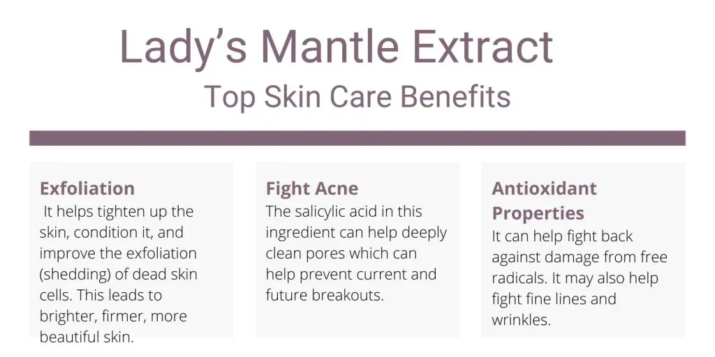 Lady's Mantle Extract top skin care benefits