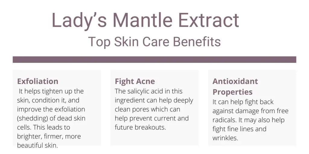 Lady's Mantle Extract top skin care benefits