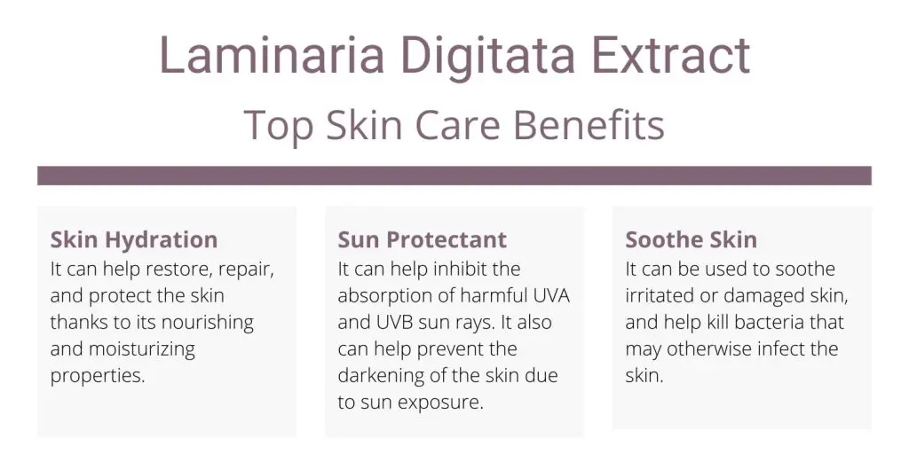 Laminaria Digitata Extract top skincare benefits and uses