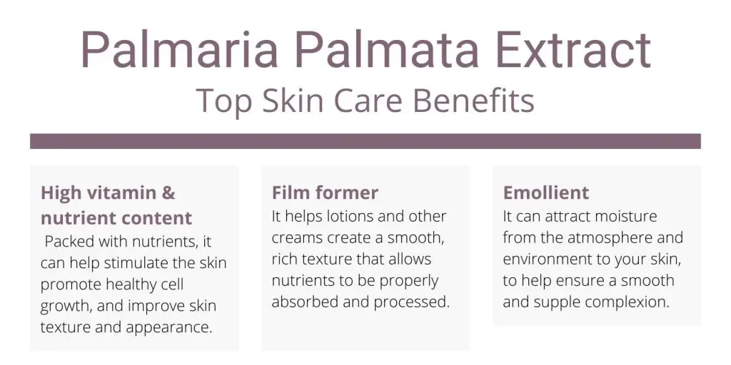 Palmaria Palmata extract skin benefits