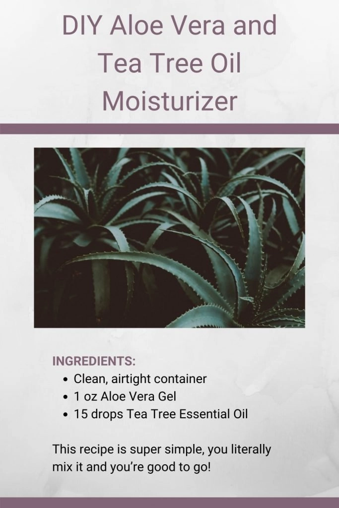 How to Make Aloe Vera and Tea Tree Oil Moisturizer