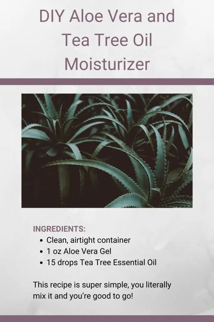 How to Make Aloe Vera and Tea Tree Oil Moisturizer