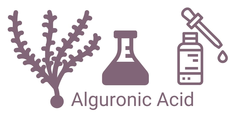 Alguronic Acid for Skin - Top Benefits