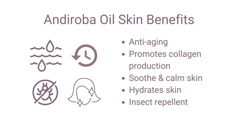 Andiroba Oil Skin Benefits