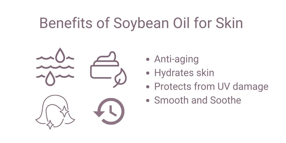 Glycine Soja (Soybean) Oil Skin Benefits