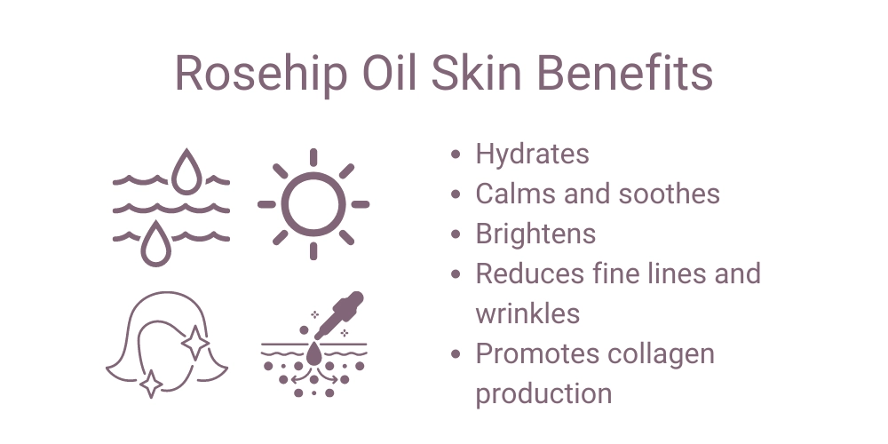 rosehip oil skin benefits