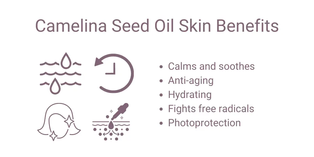 Camelina Seed Oil Benefits for Skin