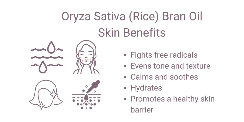 Benefits of Oryza Sativa (Rice) Bran Oil for the Skin