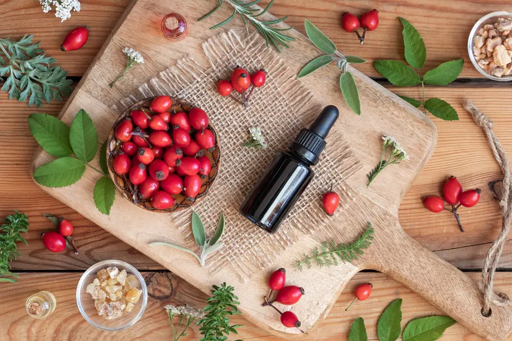 What is rosehip oil?