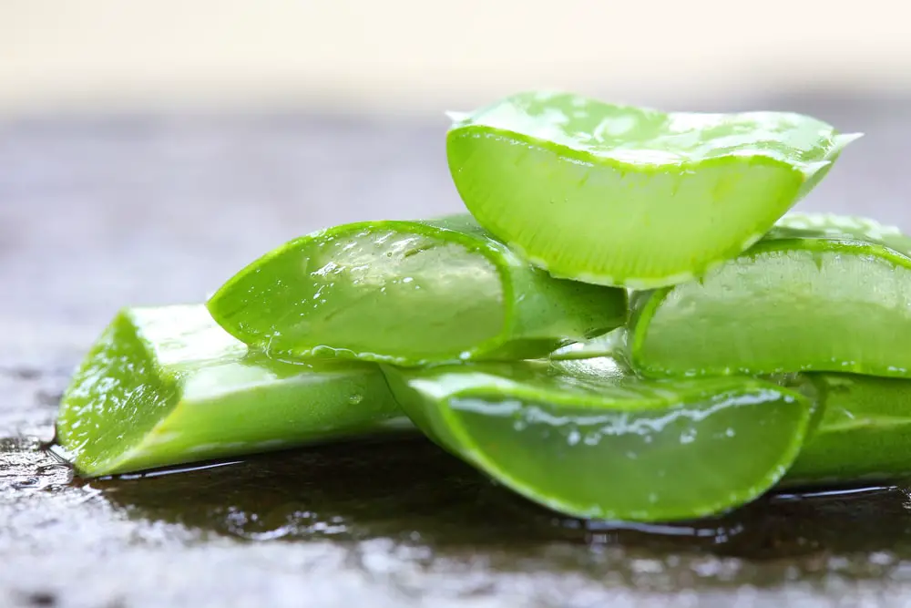 Aloe Vera for Hyperpigmentation 