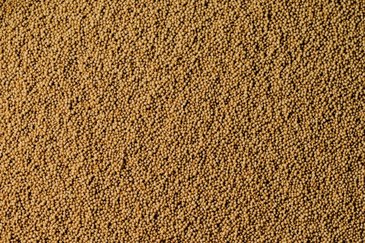 Amaranthus Caudatus (Amaranth) Seed Oil in Skincare