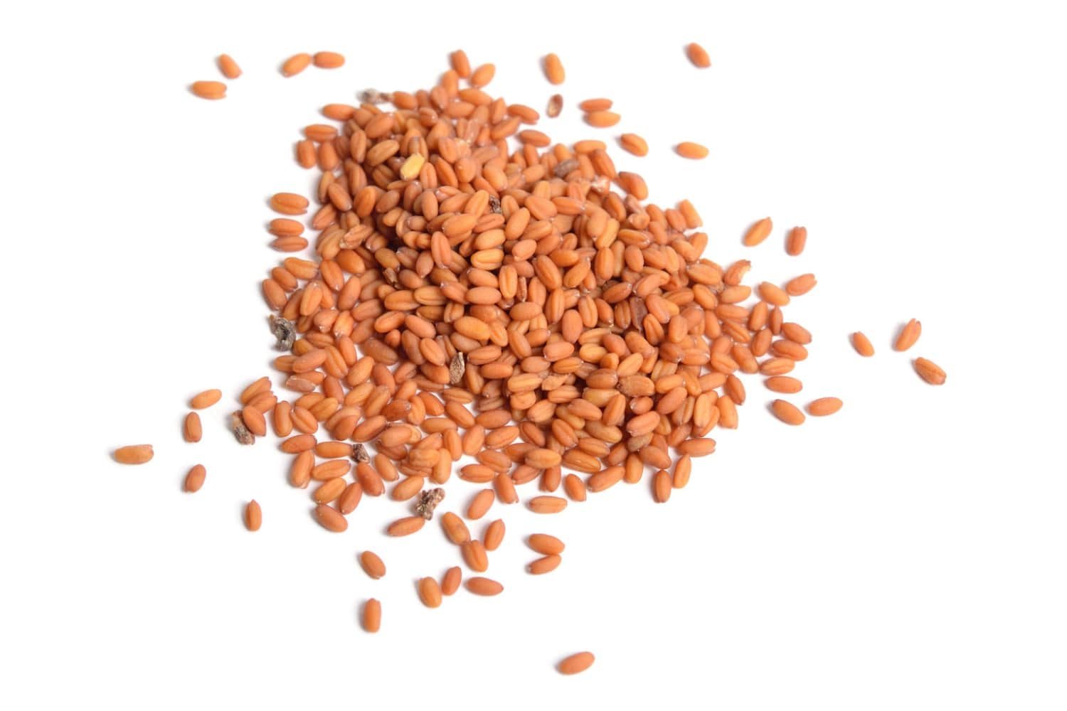 Camelina Sativa Seed Oil in Skincare