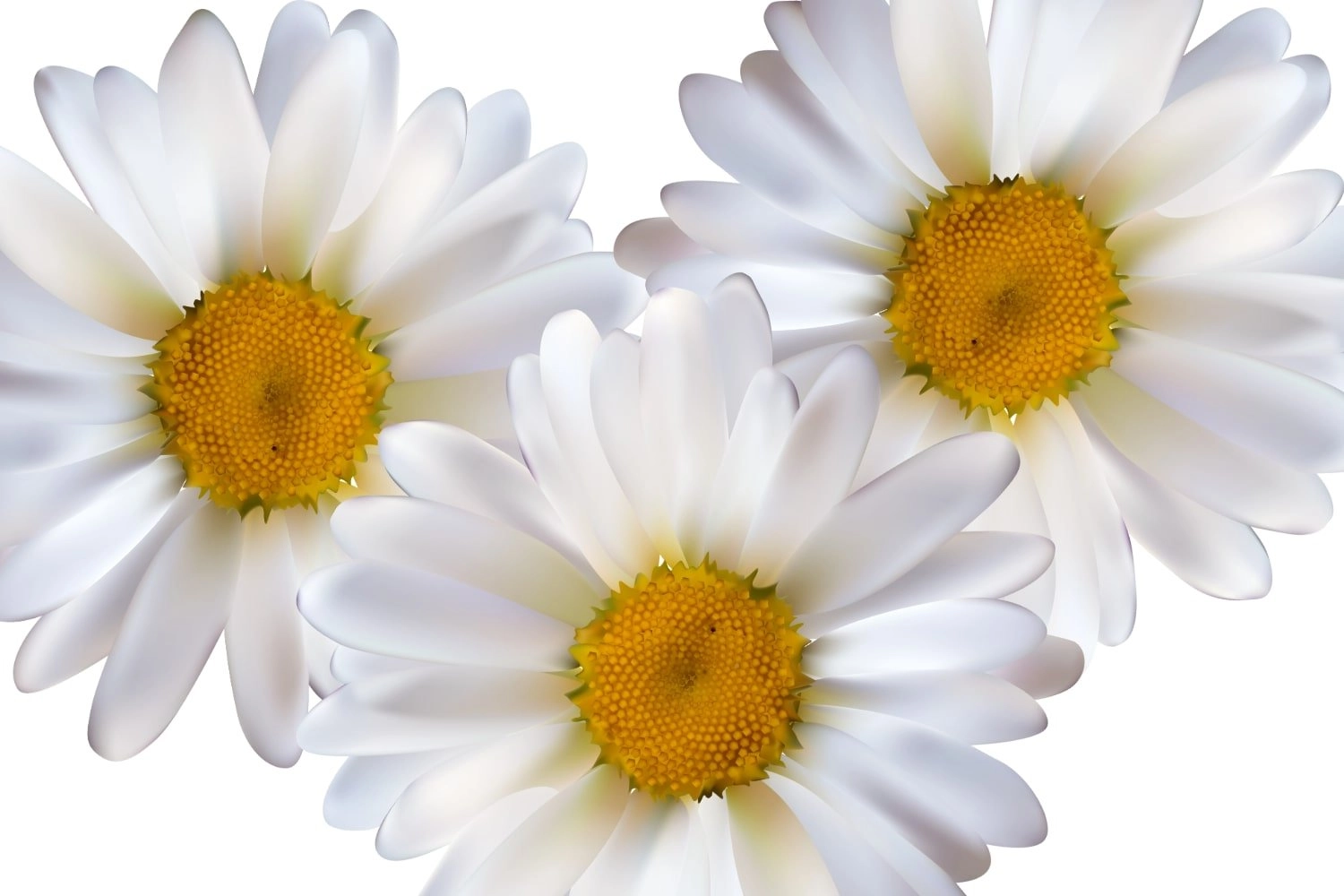 Alpha Bisabolol in Skincare